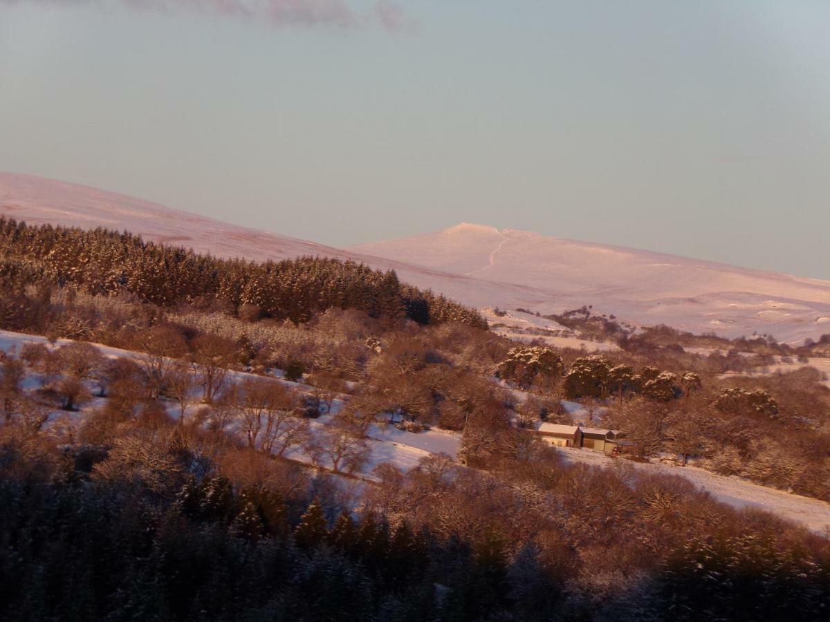 Nant * Swansea