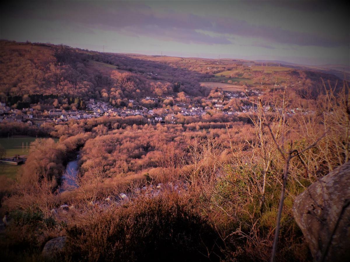 Nant * Swansea